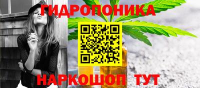 МДПВ Гатчина