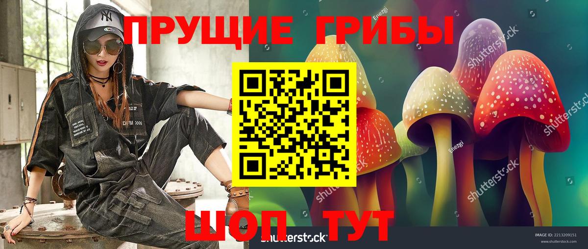 Междуреченск  Псилоцибиновые грибы прущие грибы  Вход с VPN  Псилоцибиновые грибы Magic Shrooms 